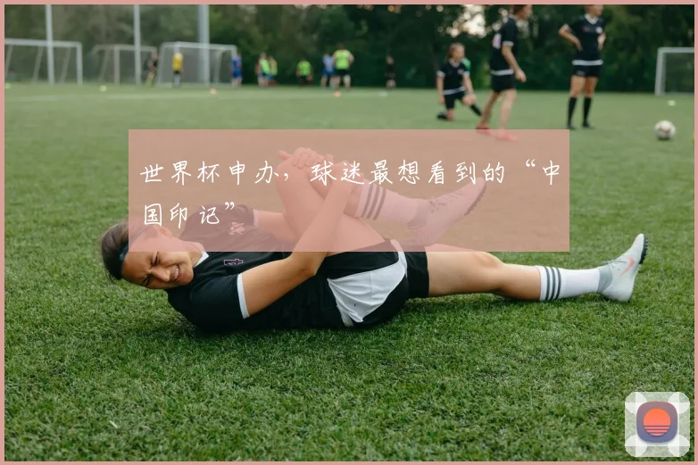 世界杯申办,球迷最想看到的“中国印记”