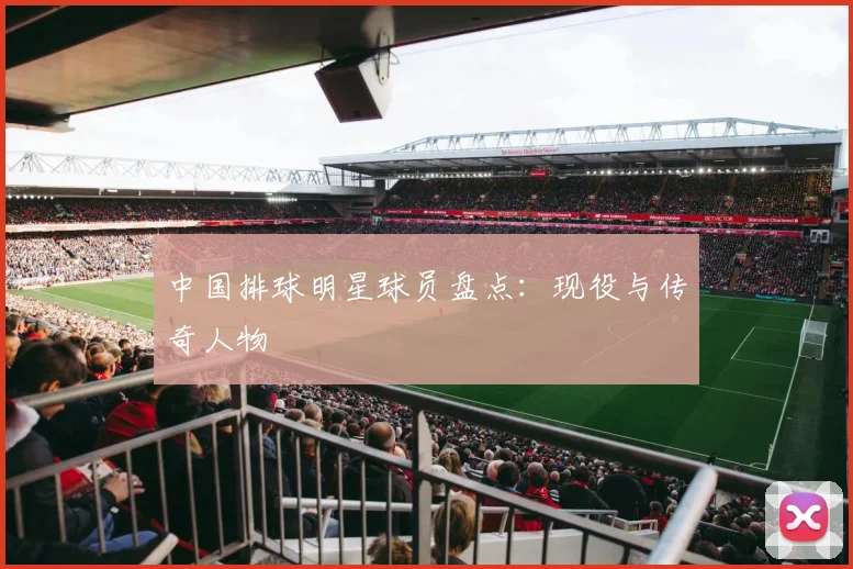 中国排球明星球员盘点：现役与传奇人物