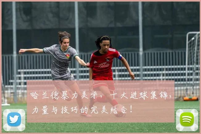 哈兰德暴力美学，十大进球集锦，力量与技巧的完美结合！