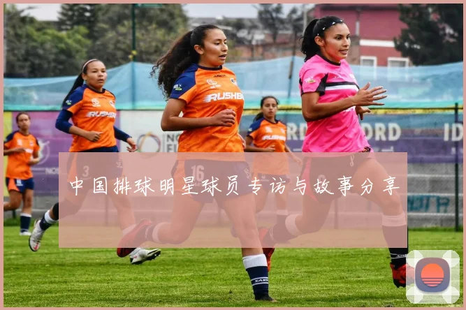 中国排球明星球员专访与故事分享