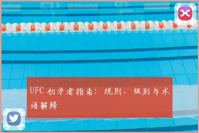 UFC 初学者指南:规则、级别与术语解释