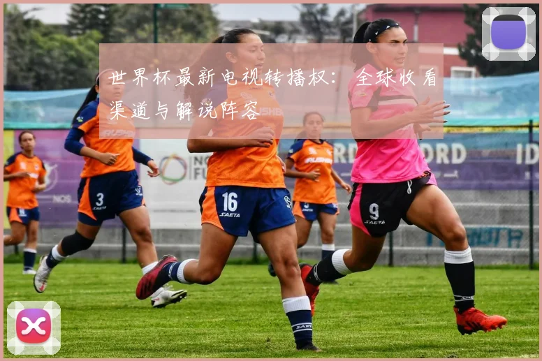 世界杯最新电视转播权：全球收看渠道与解说阵容